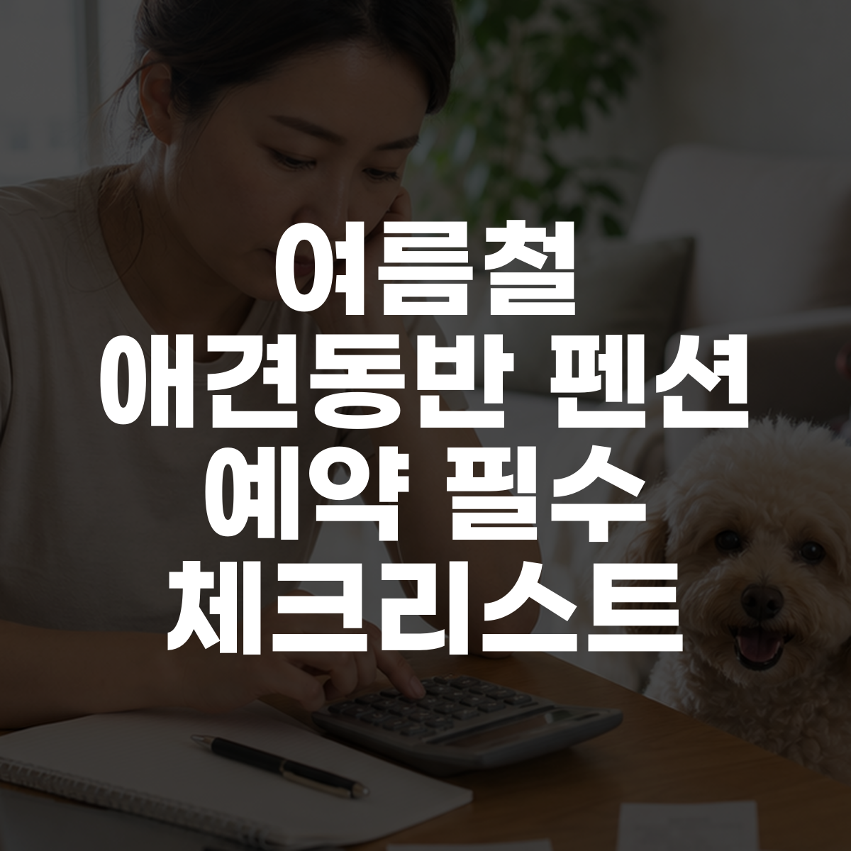 여름철 애견동반 펜션 예약 필수 체크리스트 대표 이미지