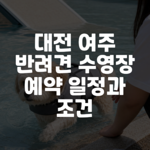 대전 여주 반려견 수영장 예약 일정과 조건 대표 이미지