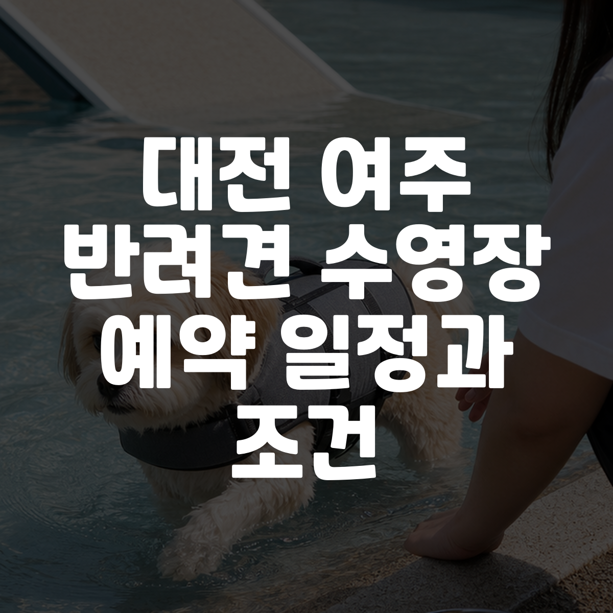 대전 여주 반려견 수영장 예약 일정과 조건 대표 이미지