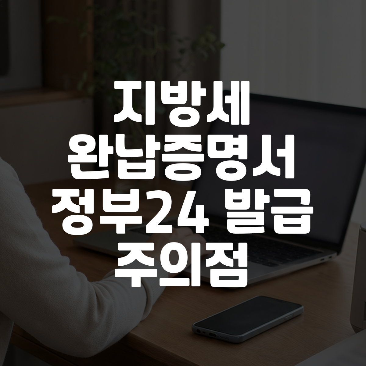 지방세 완납증명서 정부24 발급 주의점 대표 이미지