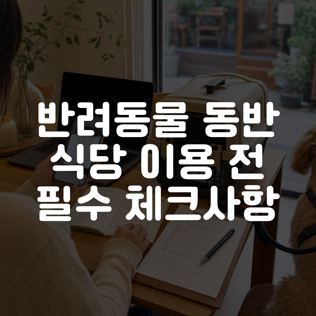반려동물 동반 식당 이용 전 필수 체크사항 대표 이미지