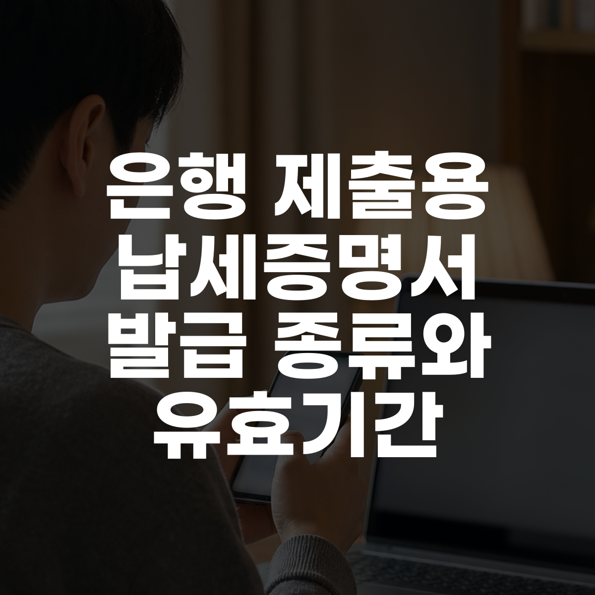 은행 제출용 납세증명서 발급 종류와 유효기간 대표 이미지