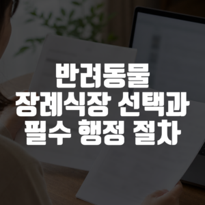 반려동물 장례식장 선택과 필수 행정 절차 대표 이미지