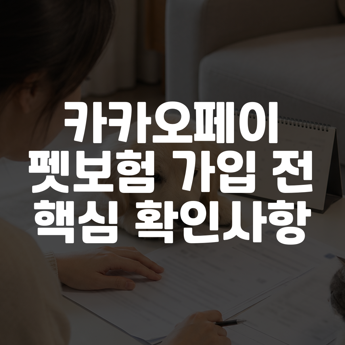 카카오페이 펫보험 가입 전 핵심 확인사항 대표 이미지