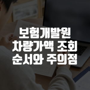 보험개발원 차량가액 조회 순서와 주의점 대표 이미지