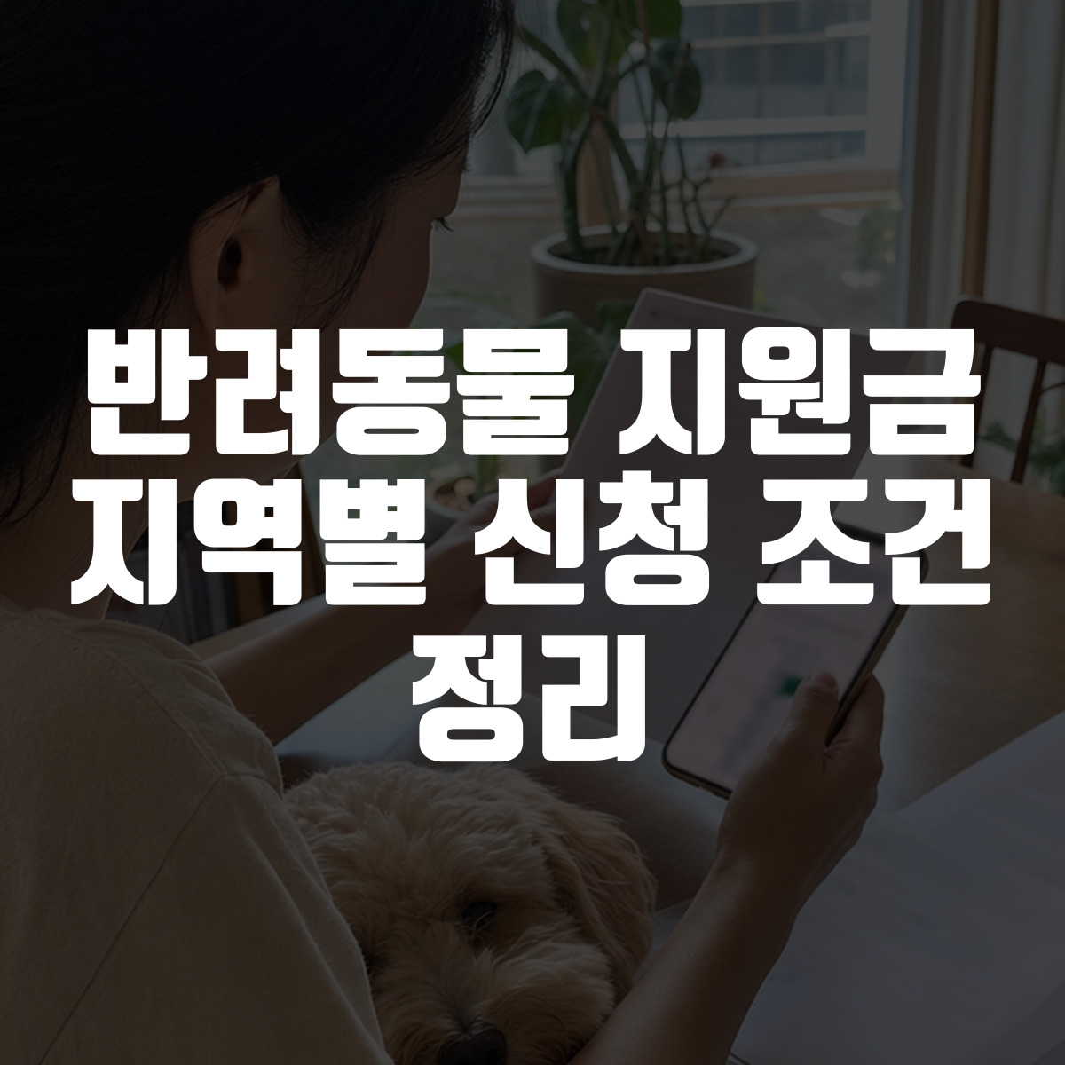 반려동물 지원금 지역별 신청 조건 정리 1 반려동물 지원금 지역별 신청 조건 정리 대표 이미지