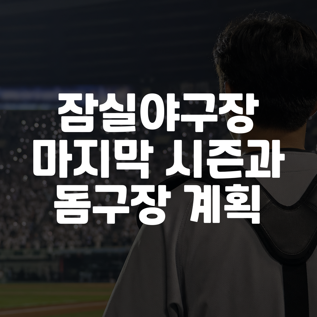 잠실야구장 마지막 시즌과 돔구장 계획 1 잠실야구장 마지막 시즌과 돔구장 계획 대표 이미지