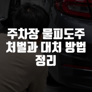 주차장 물피도주 처벌과 대처 방법 정리 대표 이미지