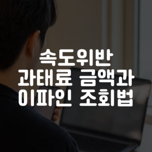 속도위반 과태료 금액과 이파인 조회법 대표 이미지
