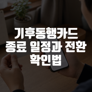 기후동행카드 종료 일정과 전환 확인법 대표 이미지