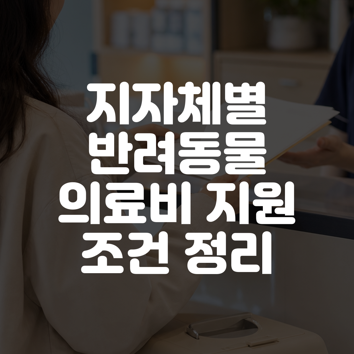 지자체별 반려동물 의료비 지원 조건 정리 대표 이미지