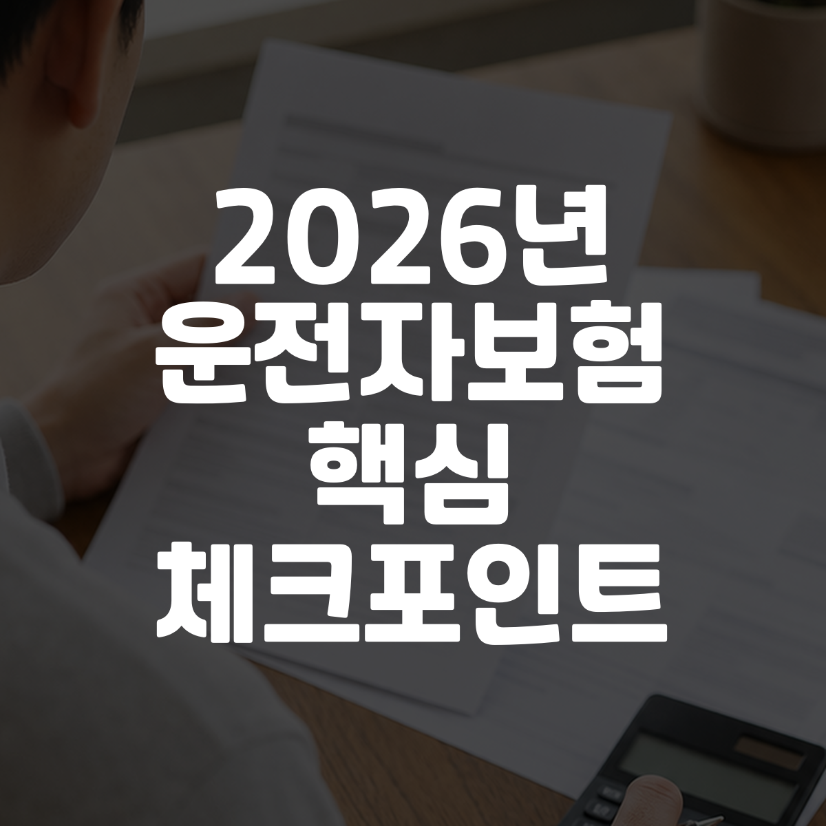 2026년 운전자보험 핵심 체크포인트 대표 이미지